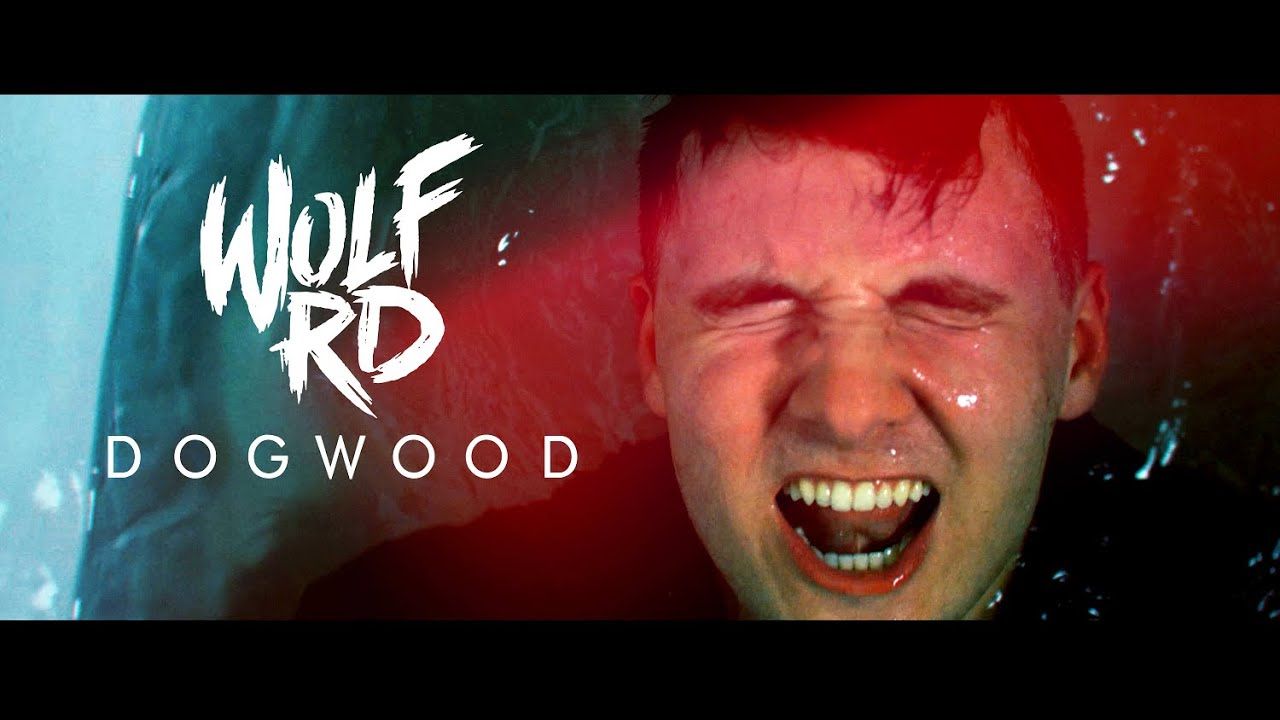 Wolf Rd - Dogwood (Official)