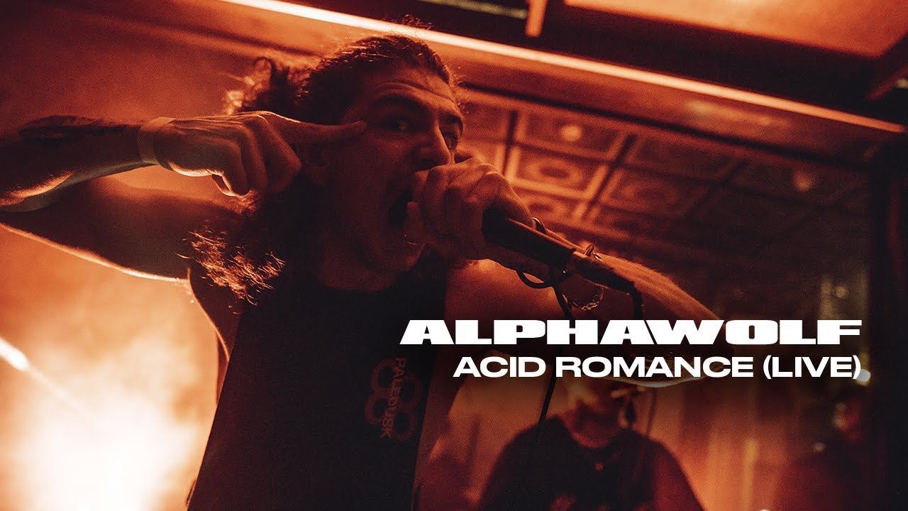 Alpha Wolf - Acid Romance (Live at Moonee Ponds 2021)