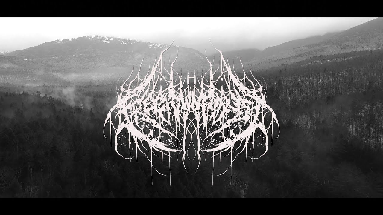 Freetown Forest - Cascading In Thorns (Official)
