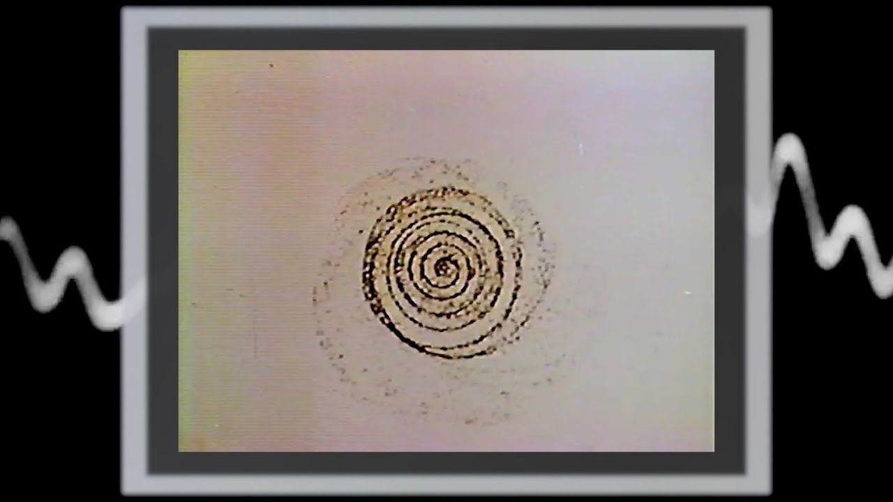 Warm Graves - Neon (Official)