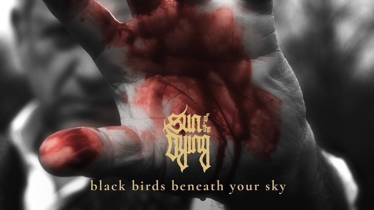 Sun Of The Dying - Black Birds Beneath Your Sky (Official)