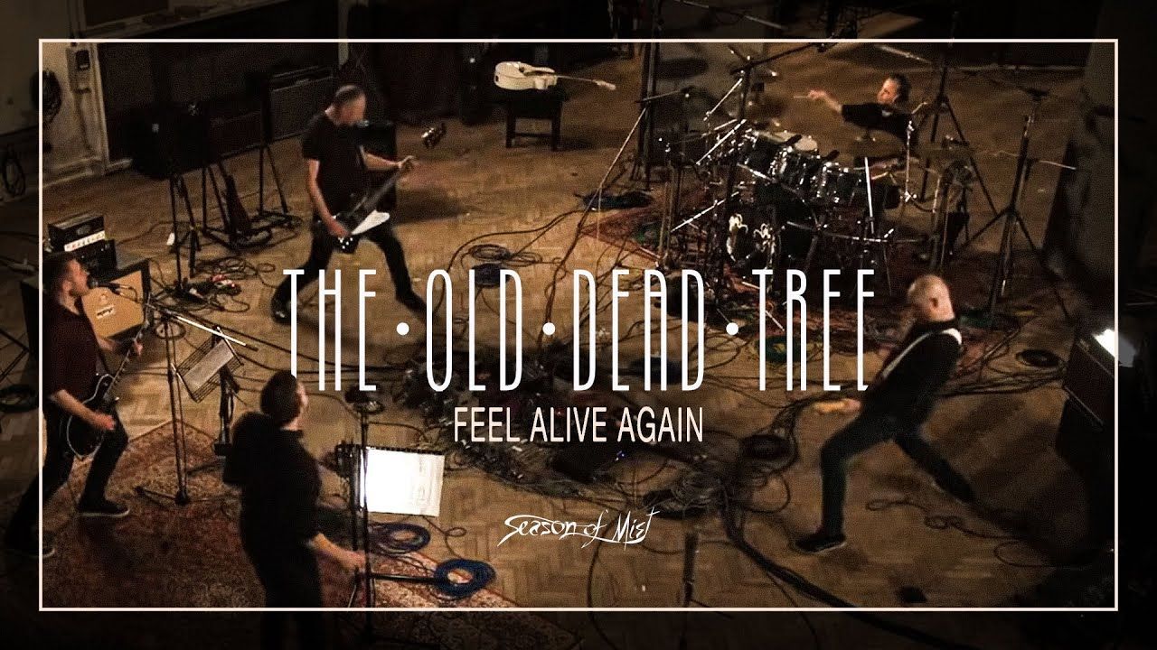 The Old Dead Tree - Feel Alive Again (Official)