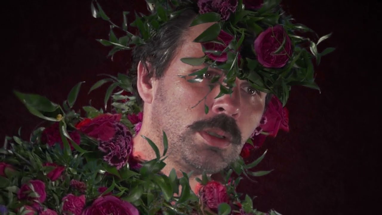 Collections of Colonies of Bees - Harms (Official)