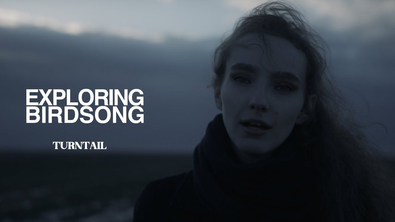 Exploring Birdsong - Turntail (Official)