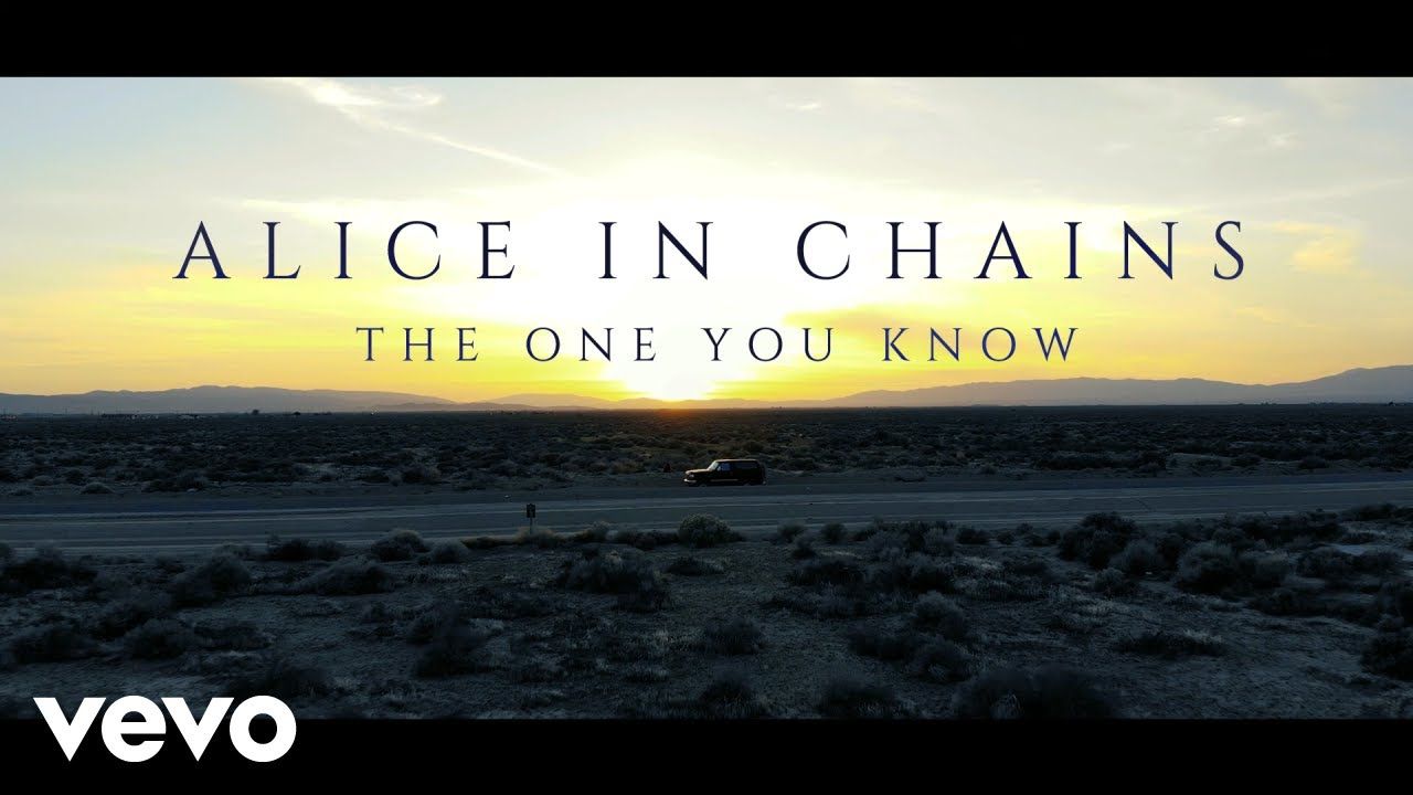 Alice In Chains - The One You Know