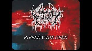 Pig Tusk - Ripped Wide Open (Official)