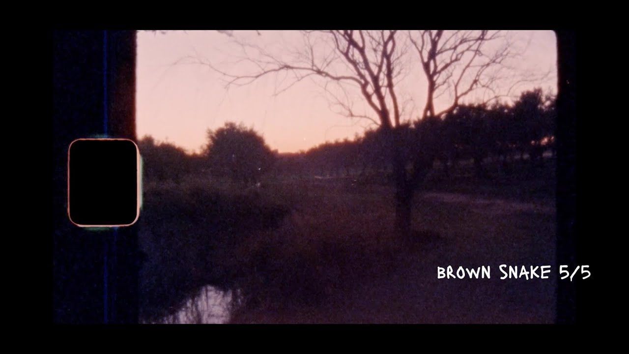 Clearings - Brown Snake 5/5 (Official)