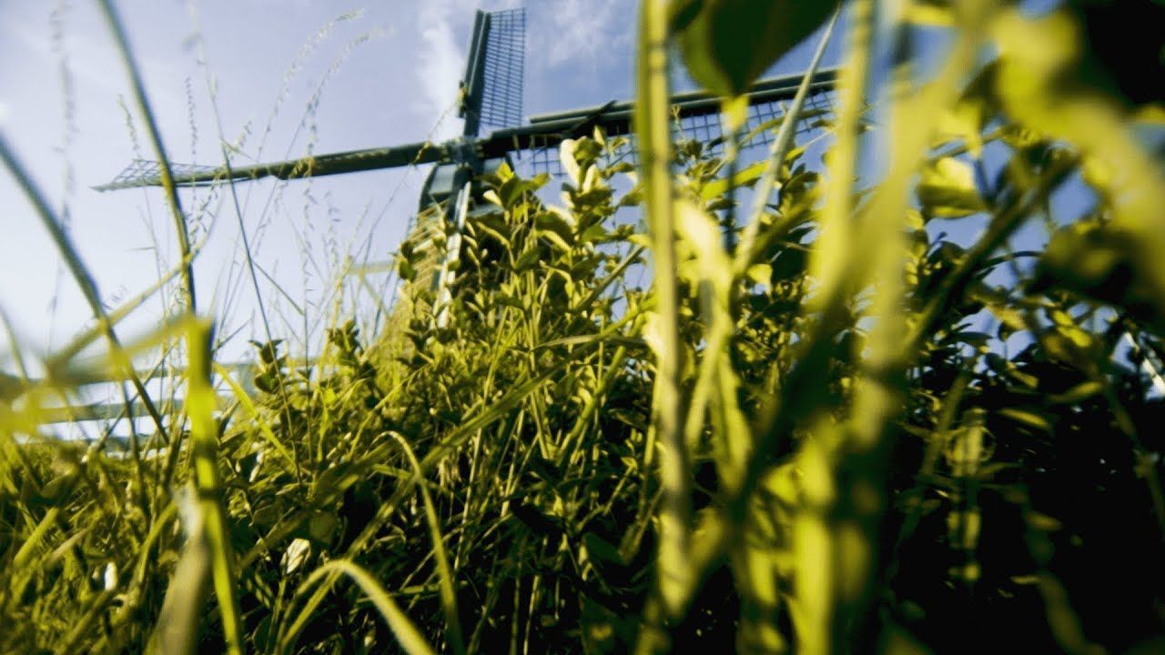 Fleshwater - Jetpack (Official)