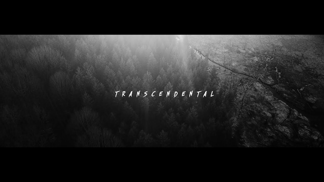 Neurotic Machinery - Transcendental (Official)