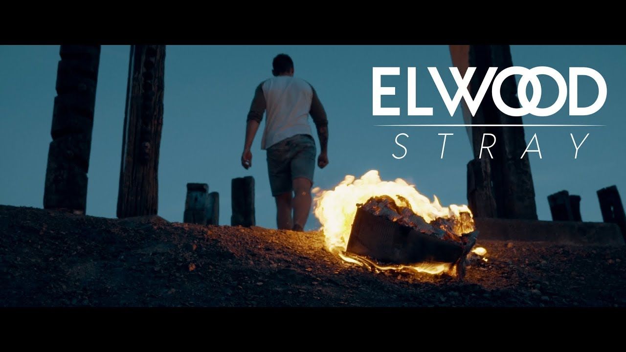 Elwood Stray - You Lost