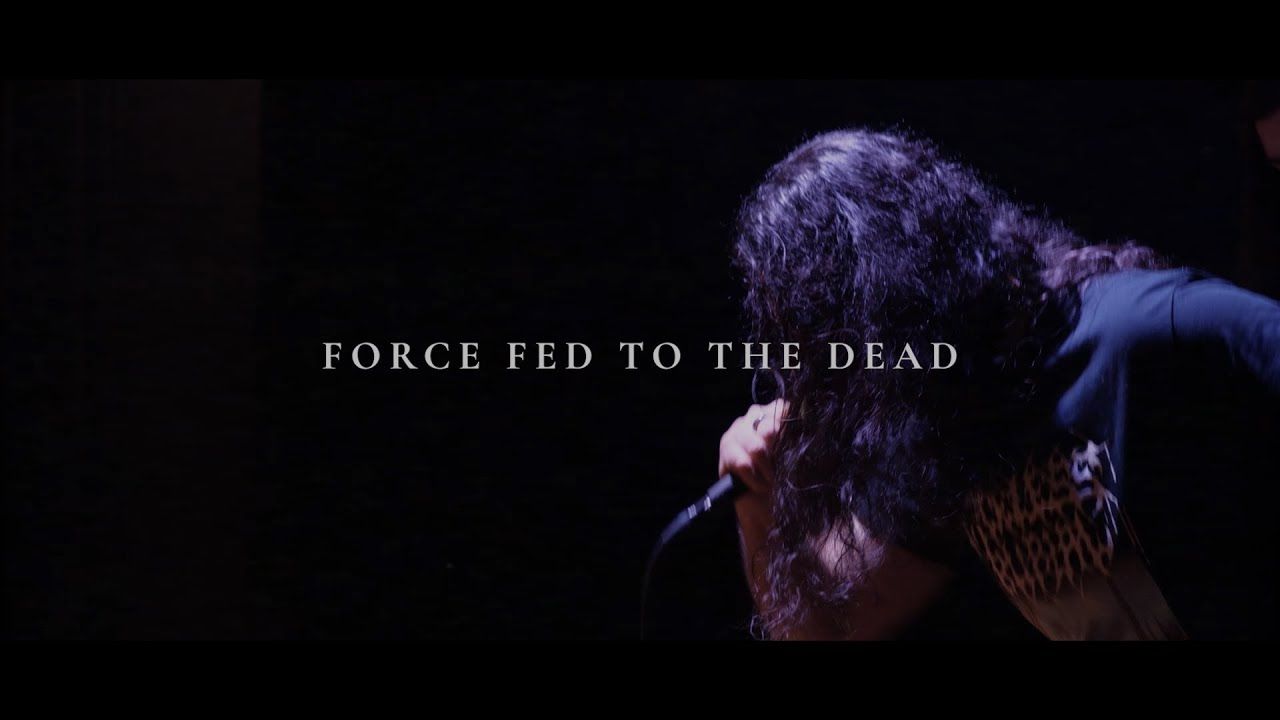 Crypt Crawler - Force Fed to the Dead (Official)