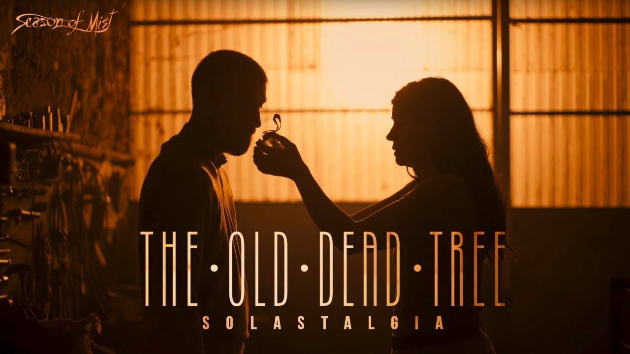 The Old Dead Tree - Solastalgia (Official)