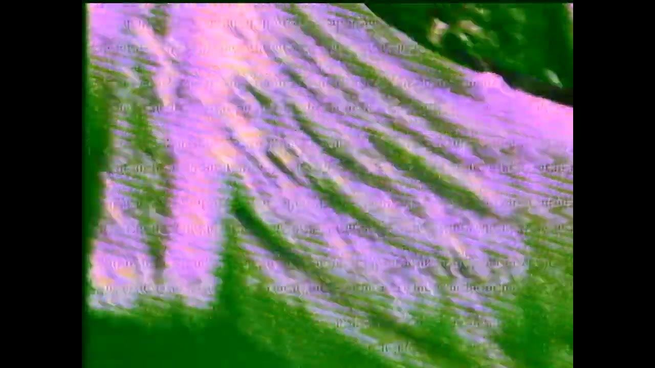 Collapsed Skull - Throne Of Oppression (Official)