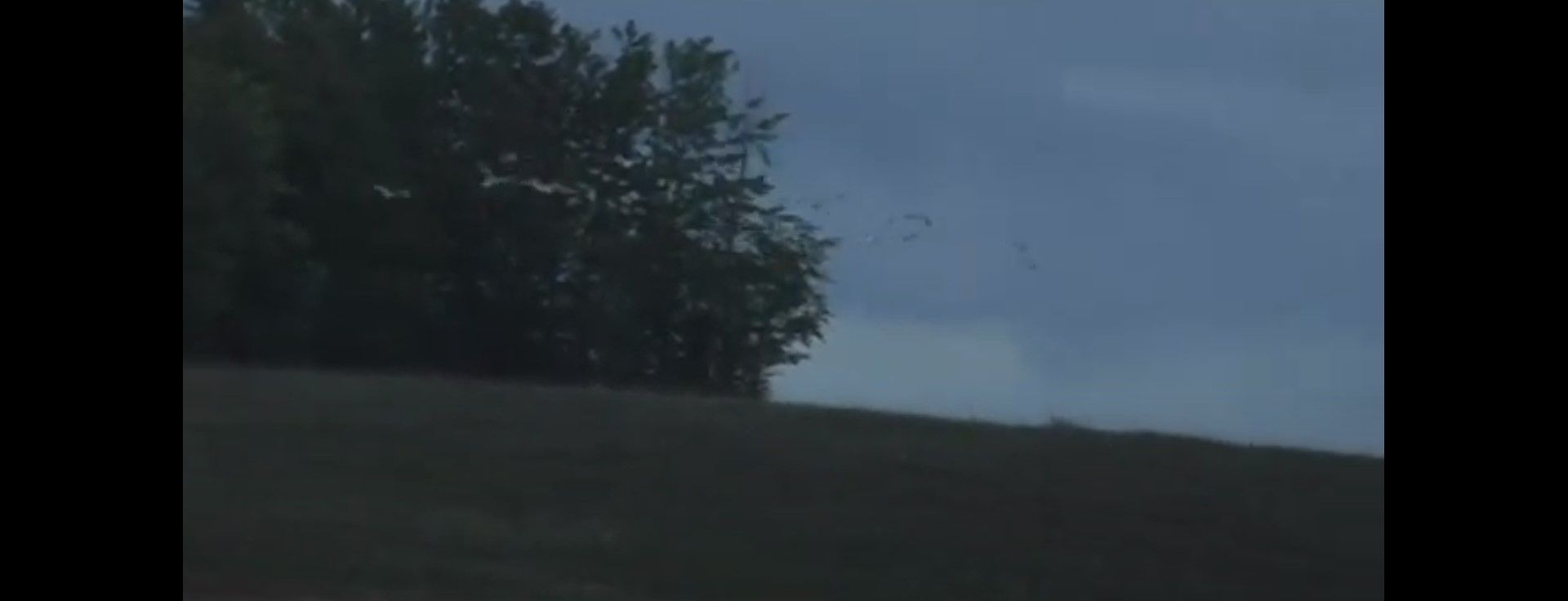 Yung - Progress (Official)