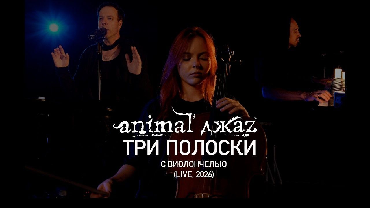 Animal ДжаZ - Три полоски (Live с виолончелью 2026)