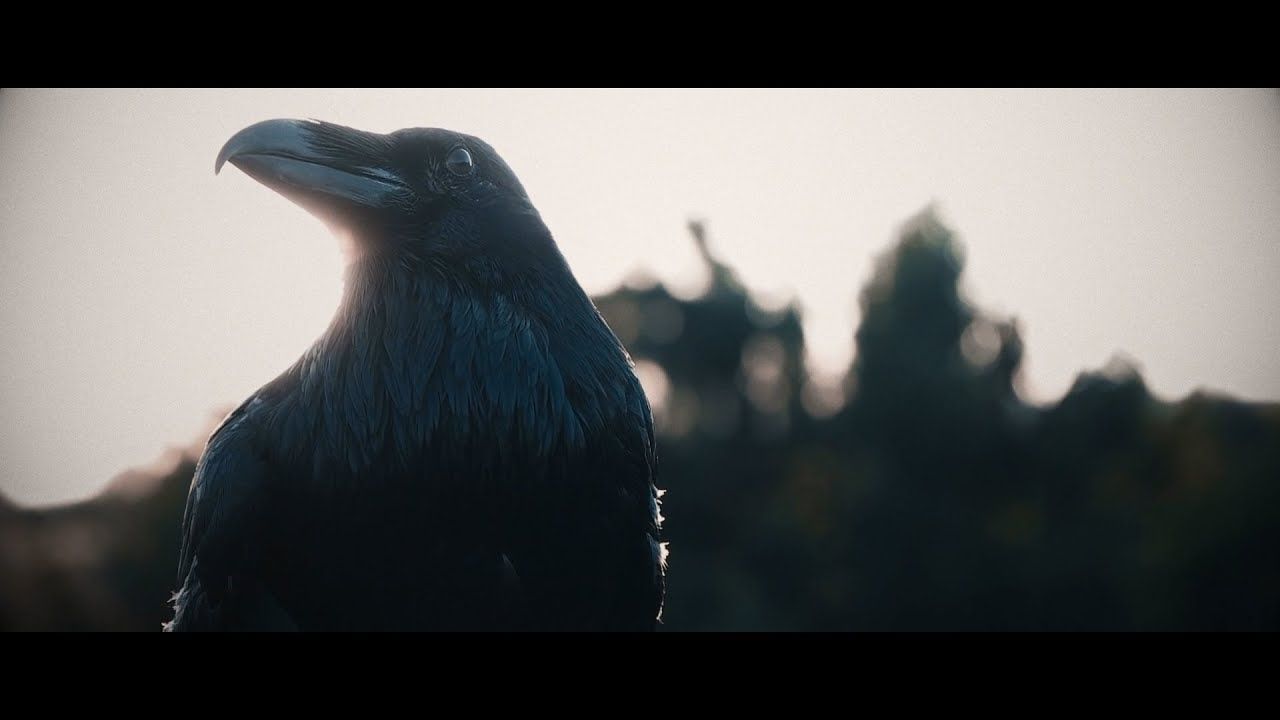 Sidus Atrum - Fading Light (Official)