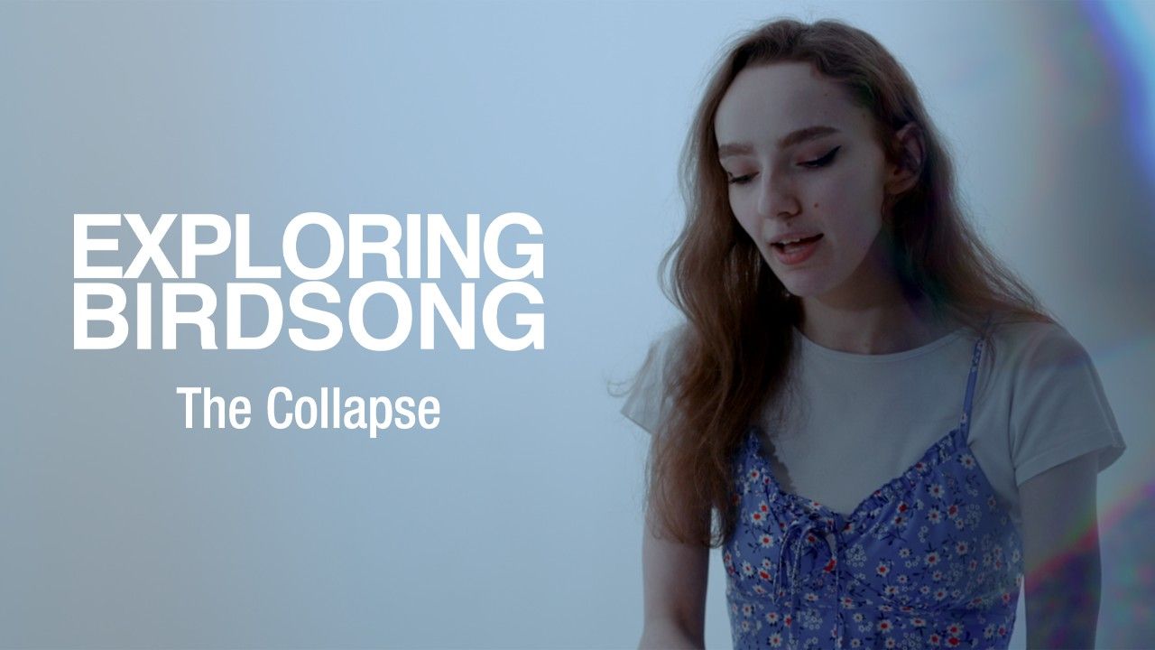 Exploring Birdsong - The Collapse (Official)