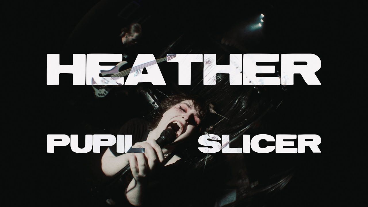 Pupil Slicer - Heather (Official)