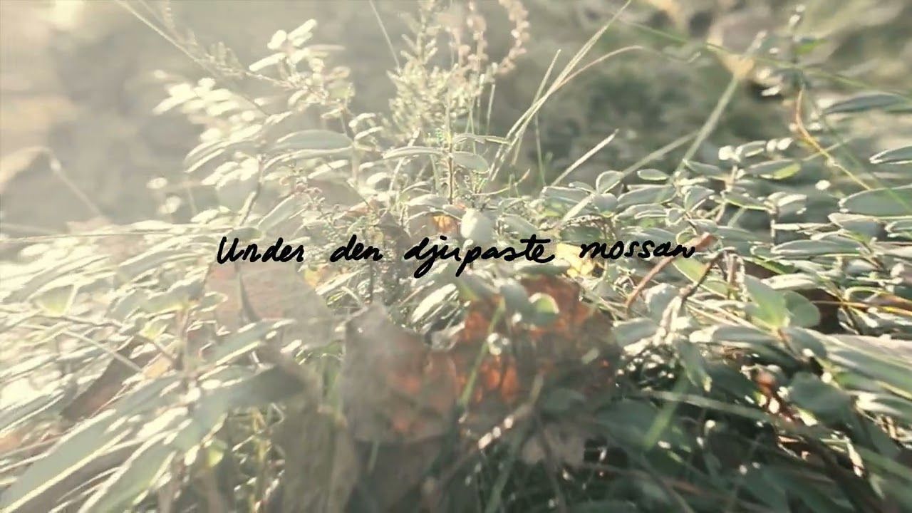 Svarta Havet - Härlig Är Jorden (Official)