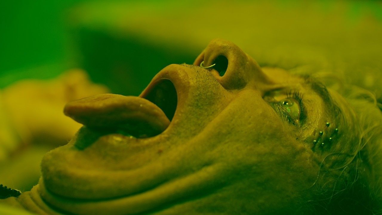 Till Lindemann - Prostitution (Official)