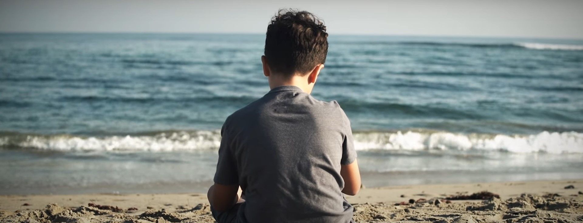 Pictures Of Wild Life - Seabright (Official)