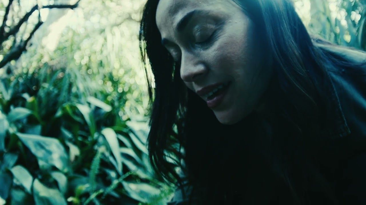 Stick To Your Guns - Keep Planting Flowers (Official)