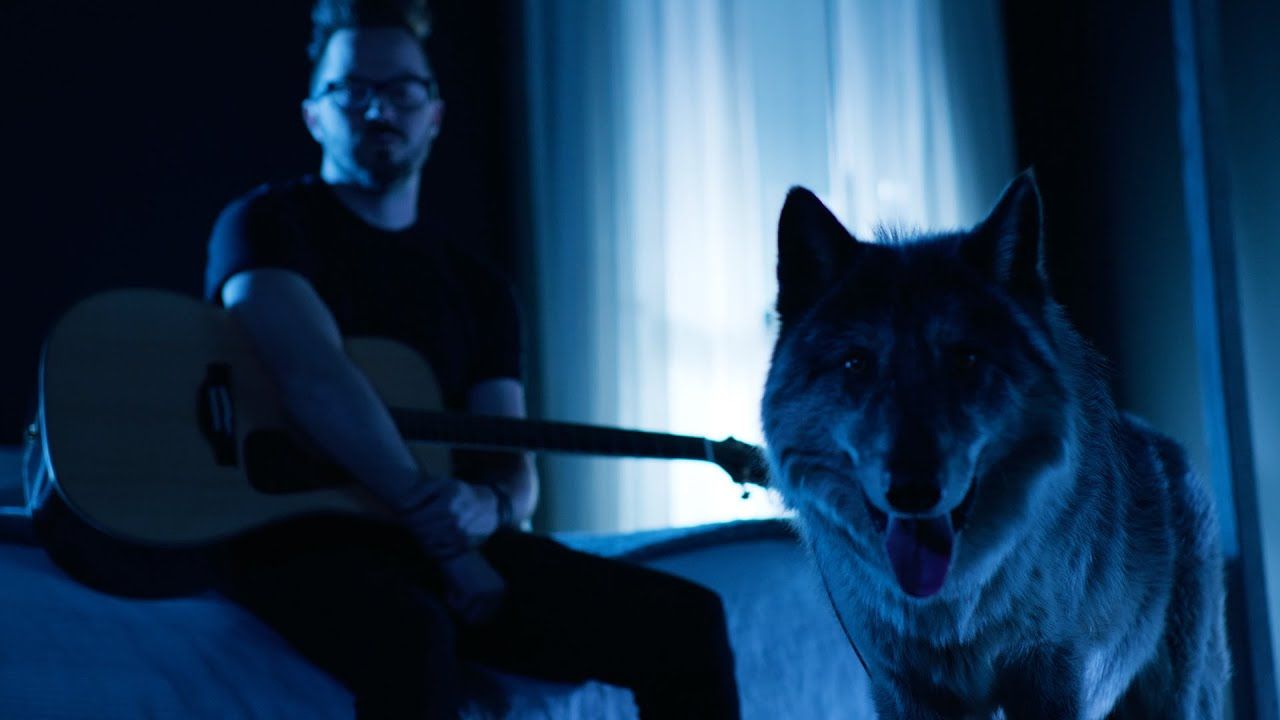 Keith Wallen - The Wolf (Official)