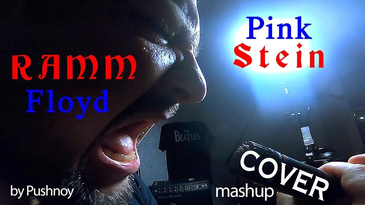 Pushnoy - Another Brick In The Wall + Sonne (Cover mashup)