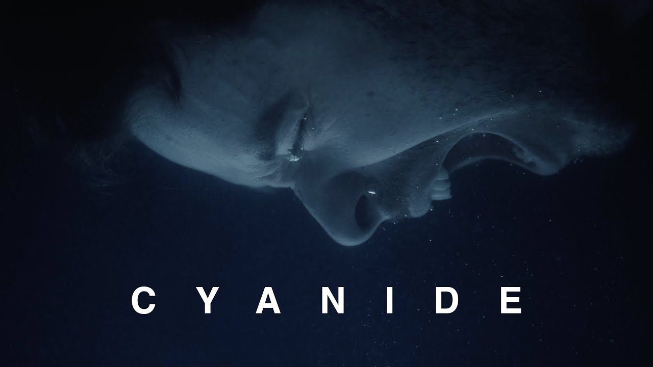 Normandie - Cyanide (Official)