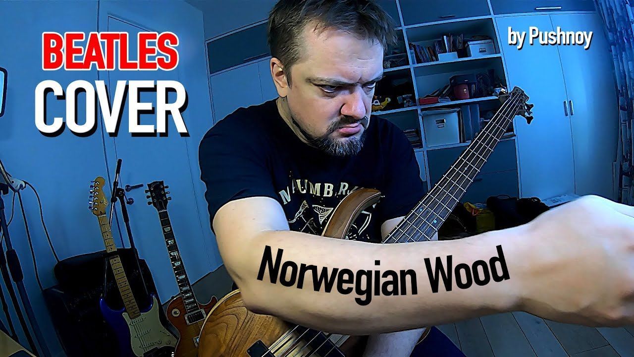 Pushnoy - Norwegian Wood (Beatles Cover)