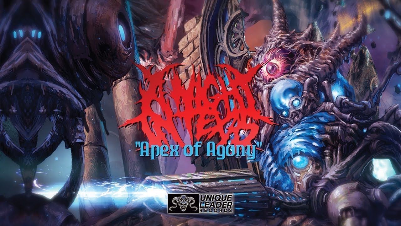A Night in Texas - Apex of Agony (Official)