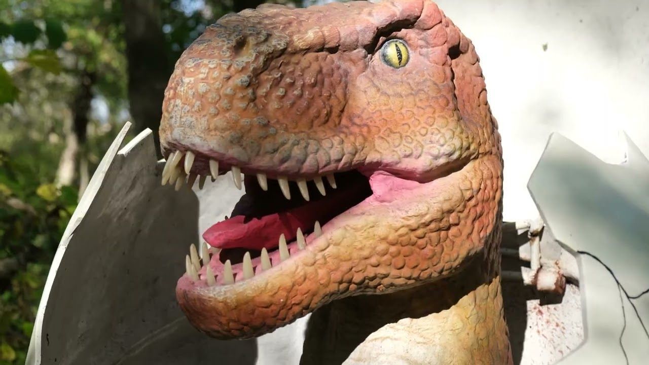 The Bar Stool Preachers - Call Me On The Way Home (Reimagined) (Official)