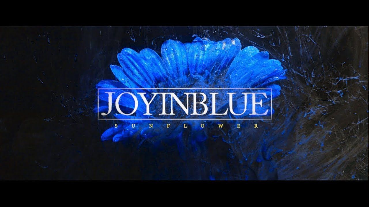 Joy In Blue - Sunflower (Official)