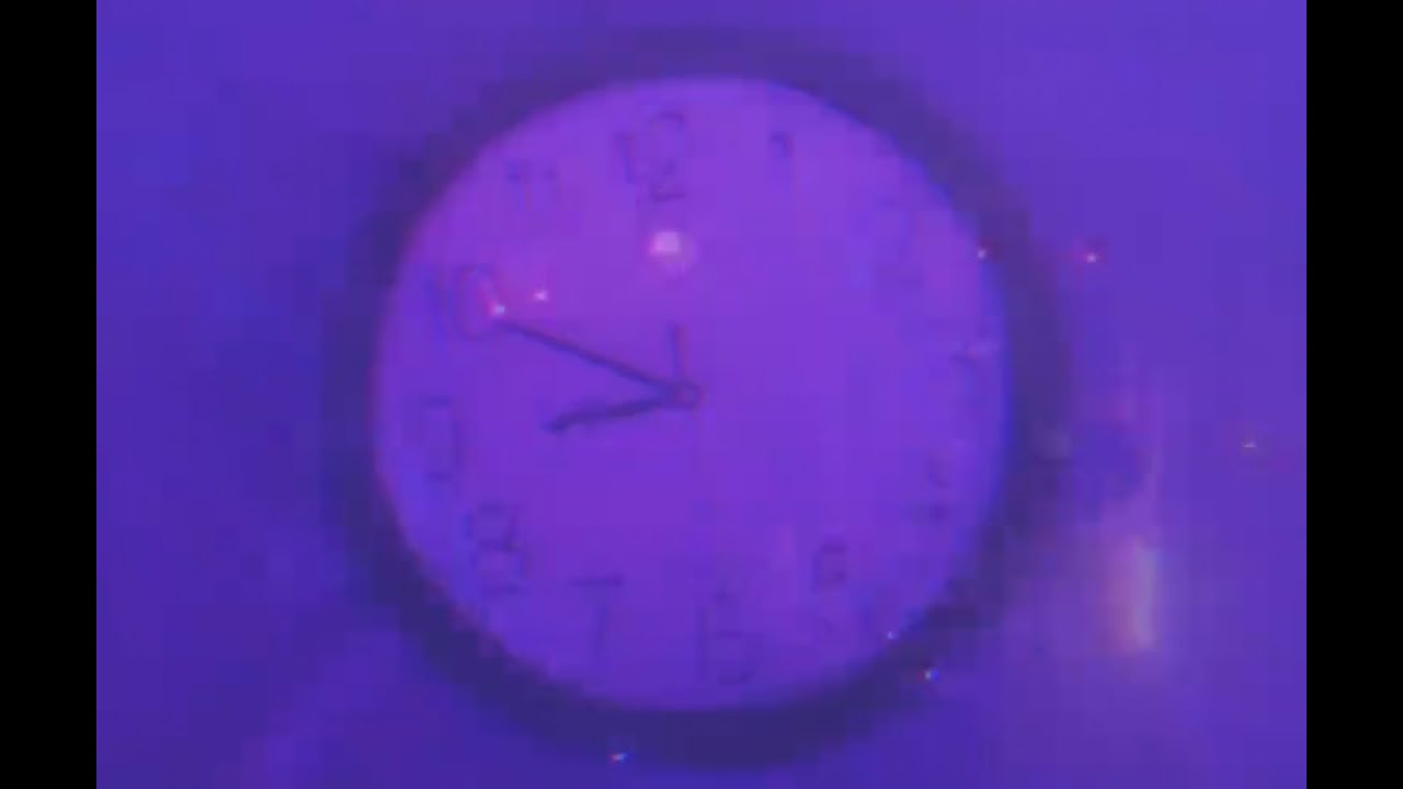 Getting Dumber - Dried Flowers (Official)