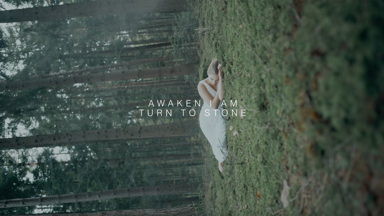 Awaken I Am - Turn to Stone (Official)