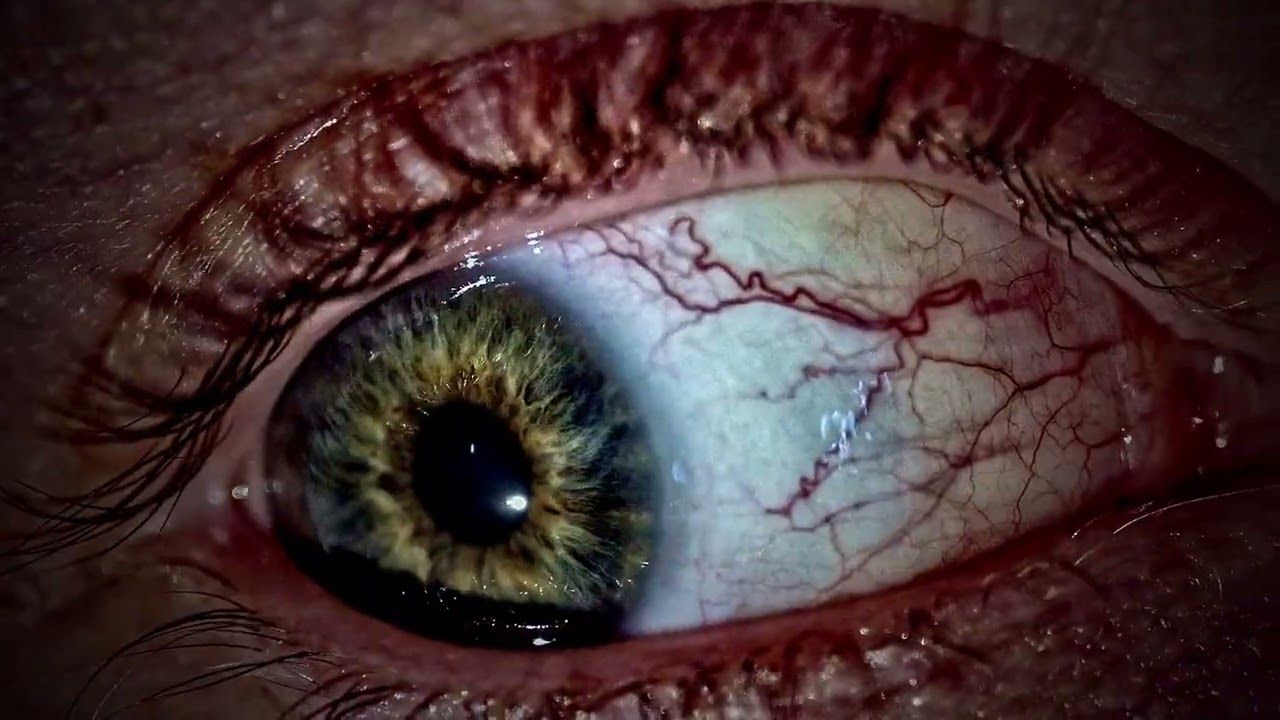 Mephorash - Chrysallís (Official)