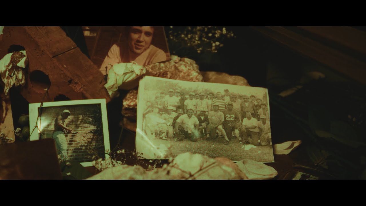 Irukandji - Open Wounds (Official)