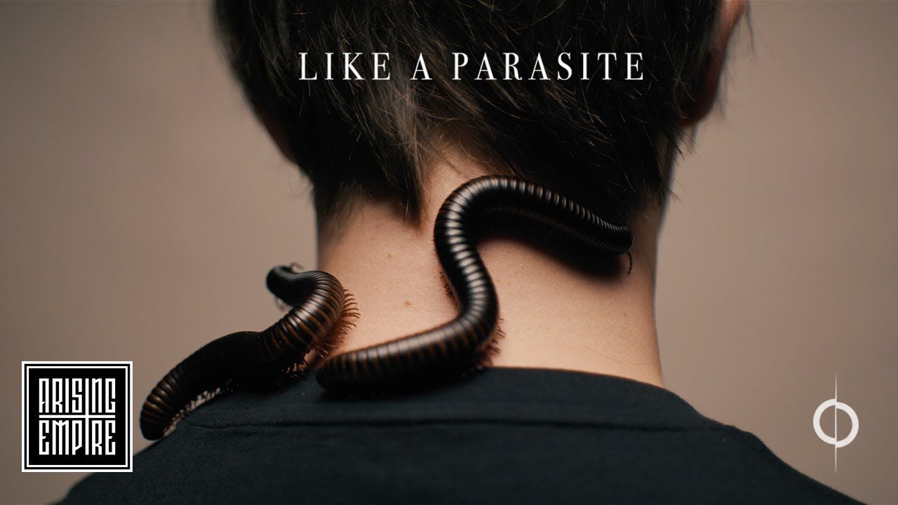 Annisokay - Like A Parasite (Official)