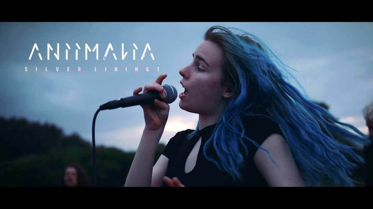 Aniimalia - Silver Linings (Official)